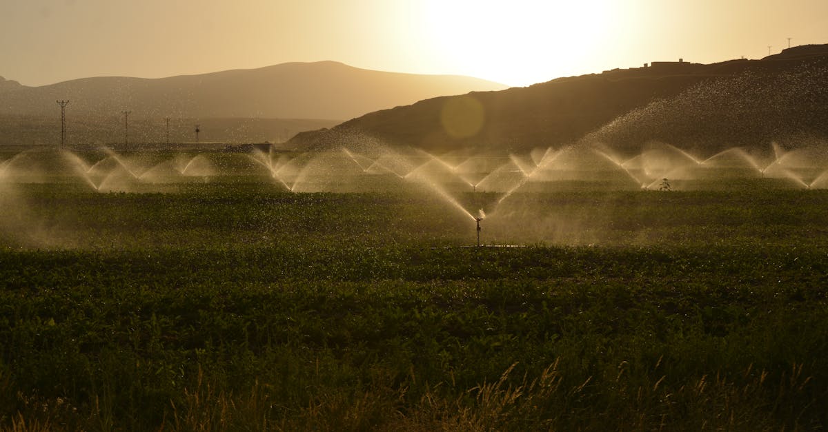 Rainbird-Aksaray-288.jpeg