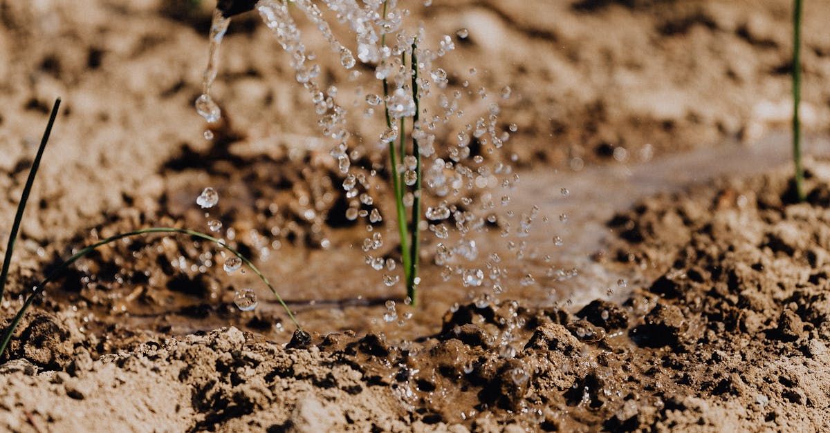 Rainbird-Güncel-Katalog-921.jpeg