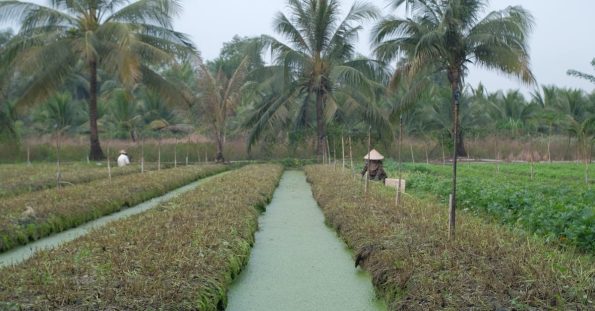 damlama sulama sistemi 2fc9accb38a12e7db3368ef1f3a2e644 1