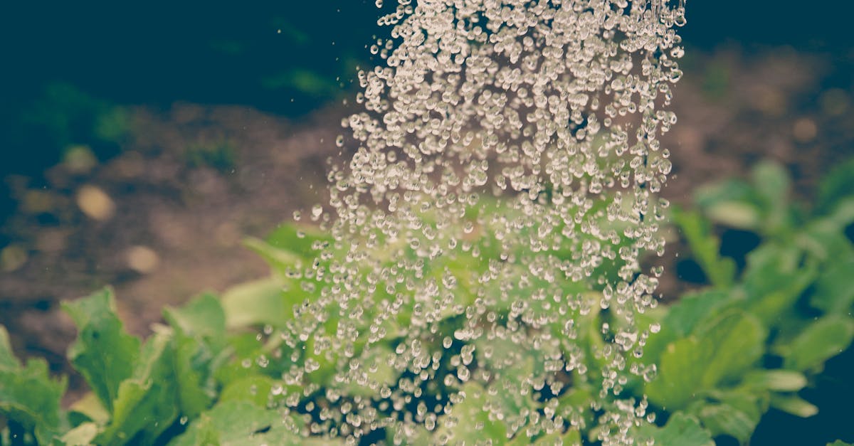 Rainbird 5000 Nasıl Ayarlanır