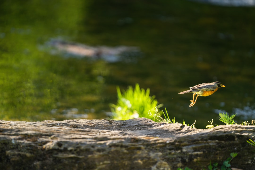 Rain-Bird-Sulama-263.jpeg