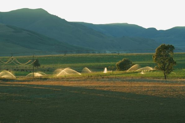 Damlama Boru Fiyatları Adıyaman 1 damlama boru fiyatlari 37 1