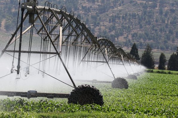 Damlama Boru Fiyatları Bartın 1 damlama boru fiyatlari 78 1