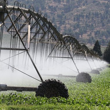 Bahçe Peyzaj Tasarımı Haymana