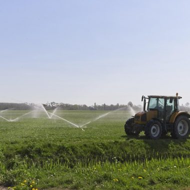 Rainbird Erzurum