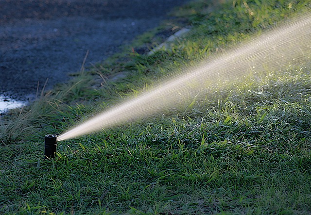 Rainbird-Bakım-876.jpeg