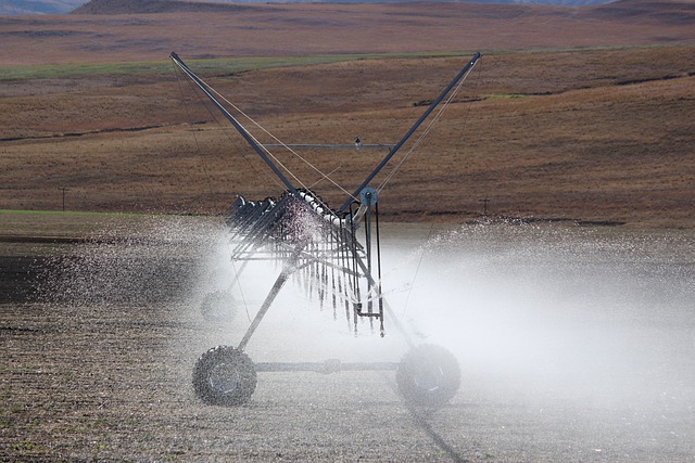 Rainbird-Bakım-550.jpeg