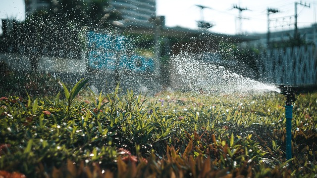 Rainbird-Bakım-16.jpeg