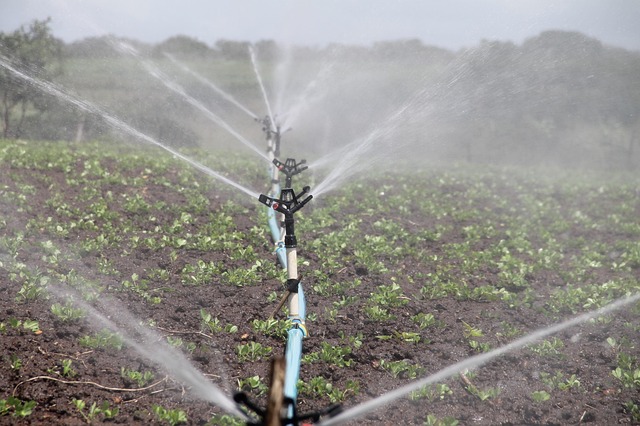 Rainbird-Bakım-170.jpeg