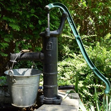 Rainbird Erzurum