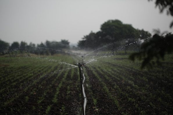 Rainbird Bakim 53