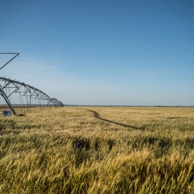 Rainbird Musluk Tipi Kullanım Kılavuzu