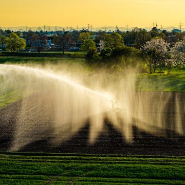 Rainbird Rize