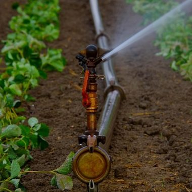 Rainbird Bakım Kazan