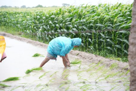 Rainbird Bakım Etimesgut 1 Rainbird Bakım Etimesgut