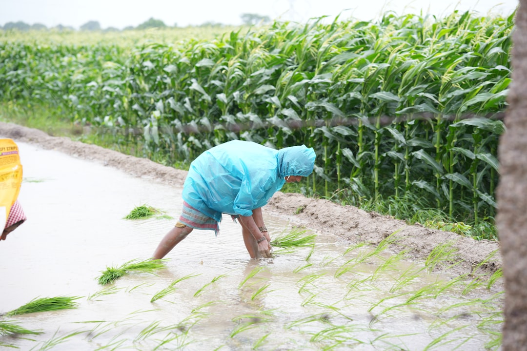 Sulama Bakım Keçiören 2 Sulama-Bakım-47.jpeg