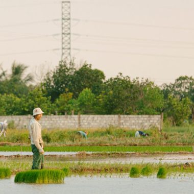 Bahçe Bakımında Devrim: Rainbird Sulama Sistemleri ile Su Yönetimi