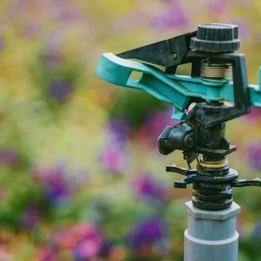 Rainbird Rize
