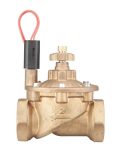 Hunter IBV-201G-FS Pirinç Solenoid Vana   2" Giriş-Çıkış | Ağır Hizmet Tipi