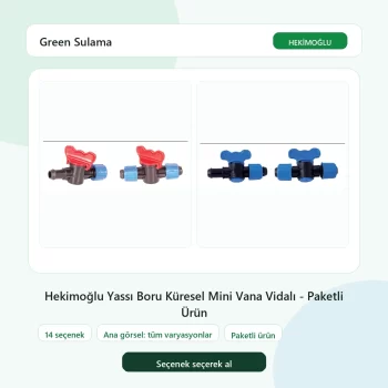 Hekimoğlu Yassı Boru Küresel Mini Vana Vidalı - Paketli Ürün tüm varyasyon seçenekleri