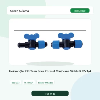 Hekimoğlu 733 Yassı Boru Küresel Mini Vana Vidalı Ø 22x3/4 - 100 Adet Paket gerçek katalog ürün görseli