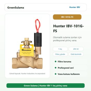 Hunter IBV-101G-FS pirinç solenoid vana