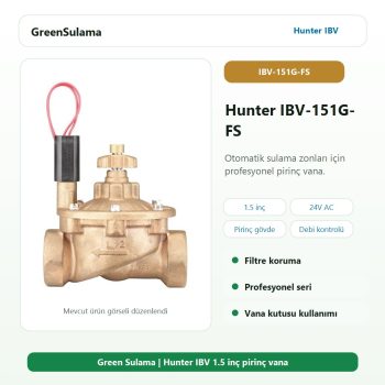 Hunter IBV-151G-FS pirinç solenoid vana
