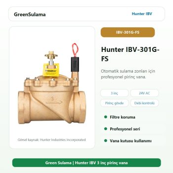 Hunter IBV-301G-FS pirinç solenoid vana