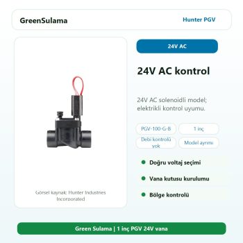 Hunter PGV-100-G-B 1 inç BSP dişli vana
