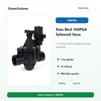 Rain Bird 100PGA 1 inç solenoid vana