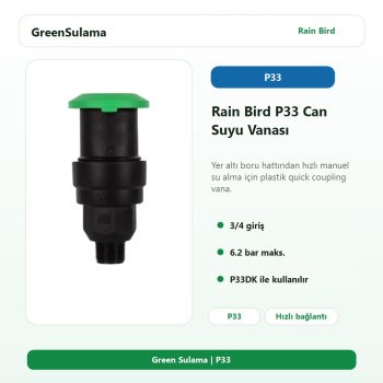 Rain Bird P33 can suyu vanası hızlı bağlantı