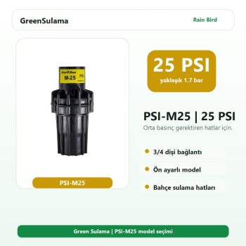 Rain Bird Basınç Regülatörü PSI M PSI M25 Rain Bird Otomatik Sulama Sistemleri ürün görseli