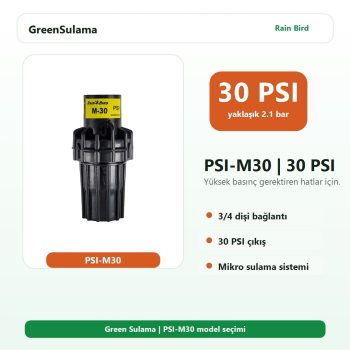 Rain Bird Basınç Regülatörü PSI M PSI M30 Rain Bird Otomatik Sulama Sistemleri ürün görseli