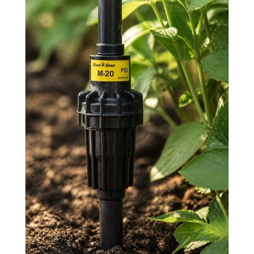 Rain Bird Basınç Regülatörü PSI M - PSI-M20