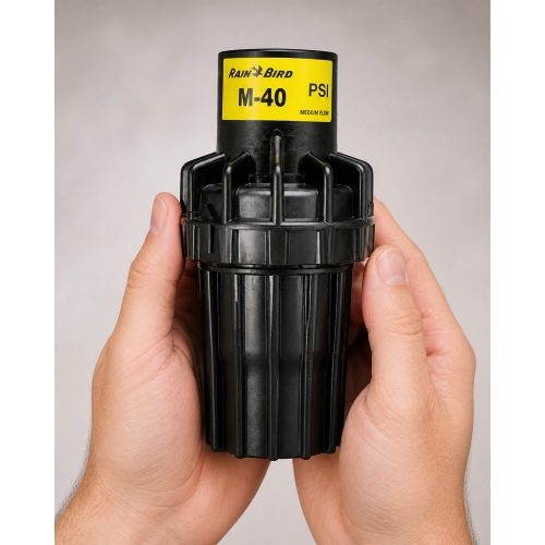 Rain Bird PSI-M40 40 PSI basınç regülatörü bahçede sinematik görünüm